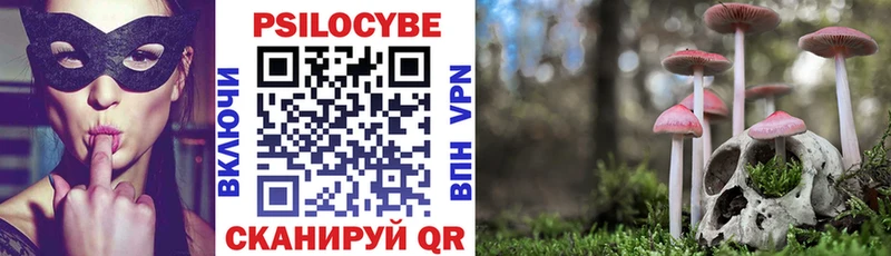 Псилоцибиновые грибы Psilocybe  Пестово 